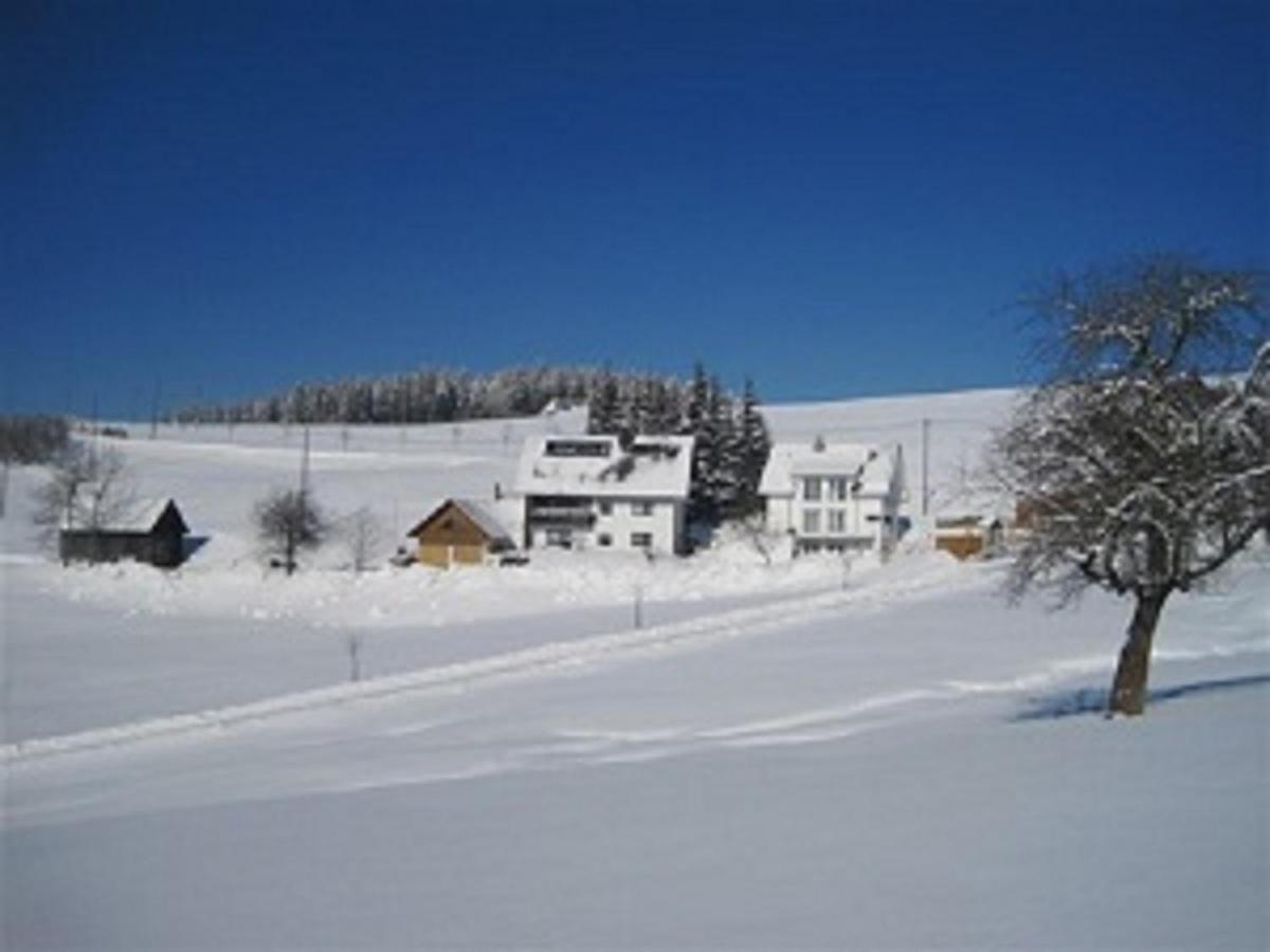 Haus Janssen-Wehrle Leilighet Titisee-Neustadt Eksteriør bilde