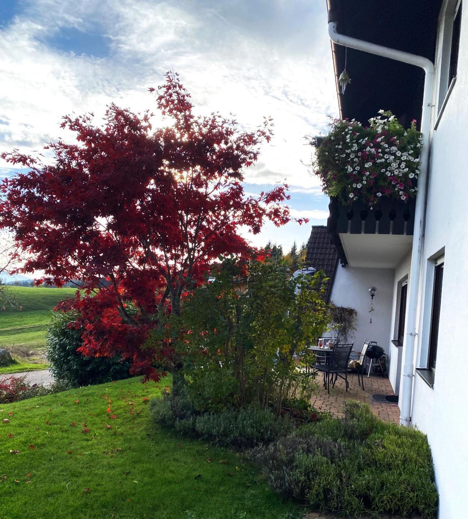 Haus Janssen-Wehrle Leilighet Titisee-Neustadt Eksteriør bilde